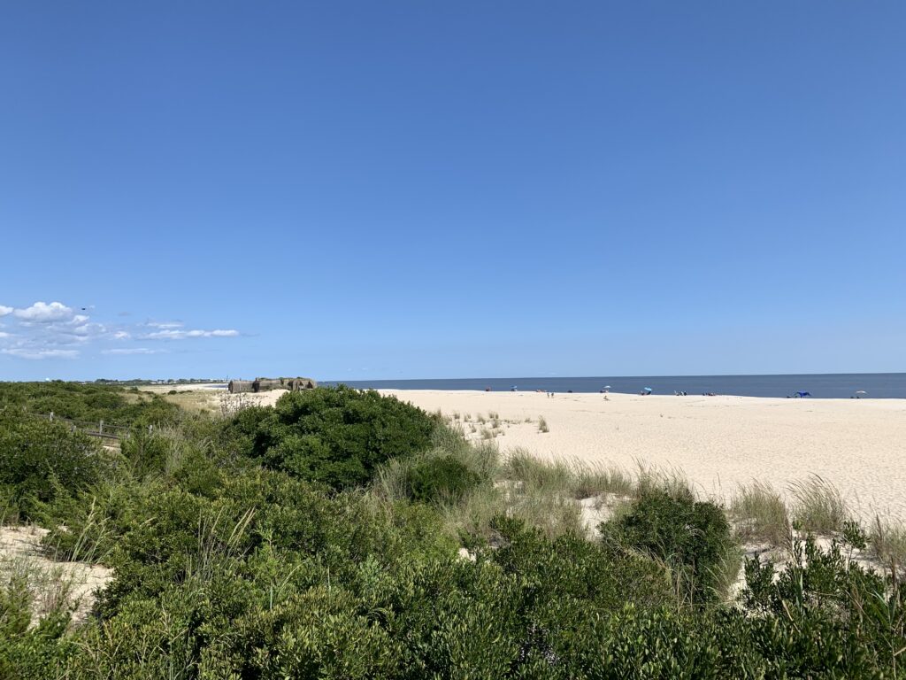 a sandy beach with bushes and trees (MyCoast AI)