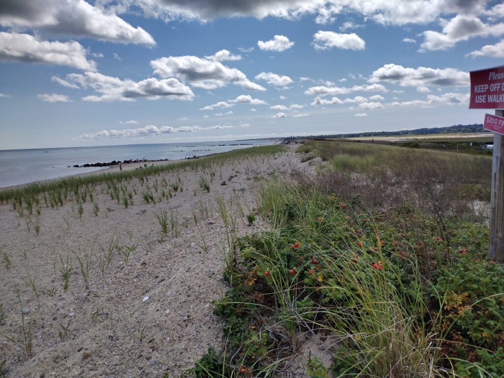 a beach with a sign (MyCoast AI)