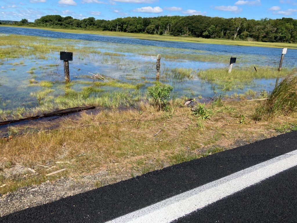 a body of water with grass and trees around it (MyCoast AI)