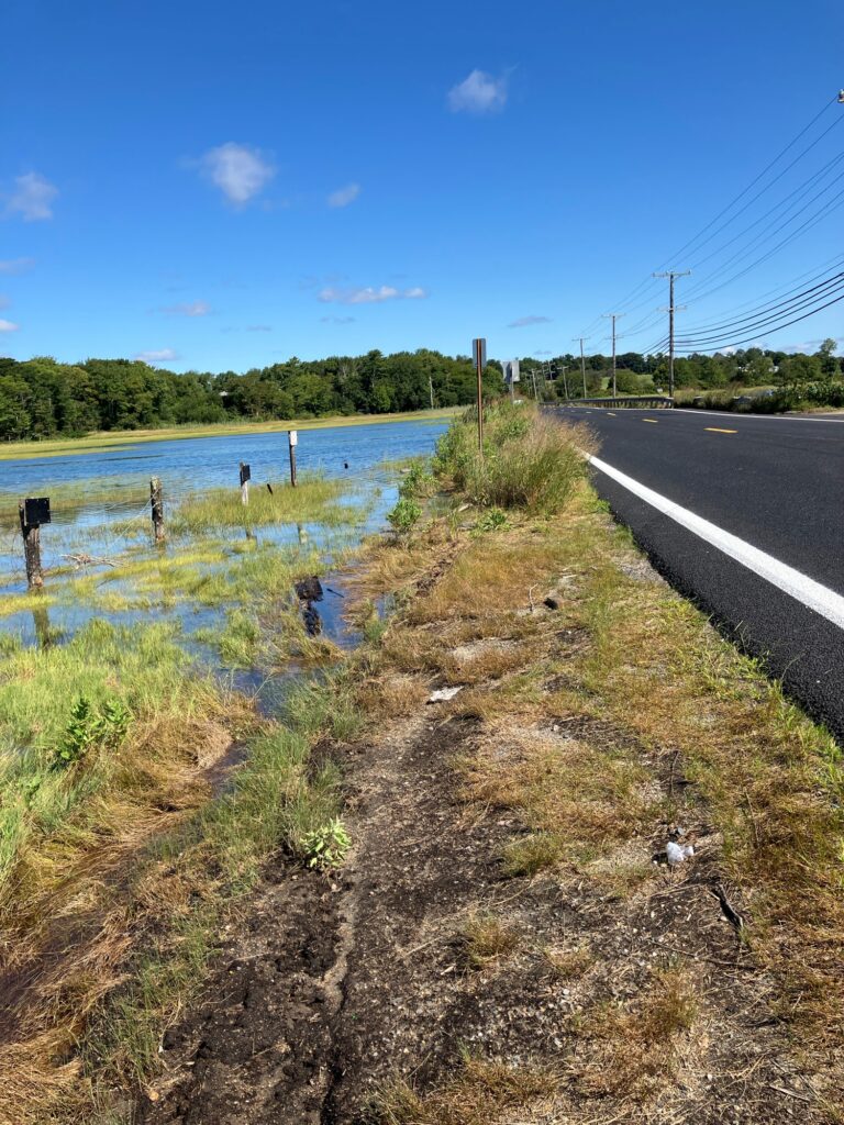 a road next to a body of water (MyCoast AI)