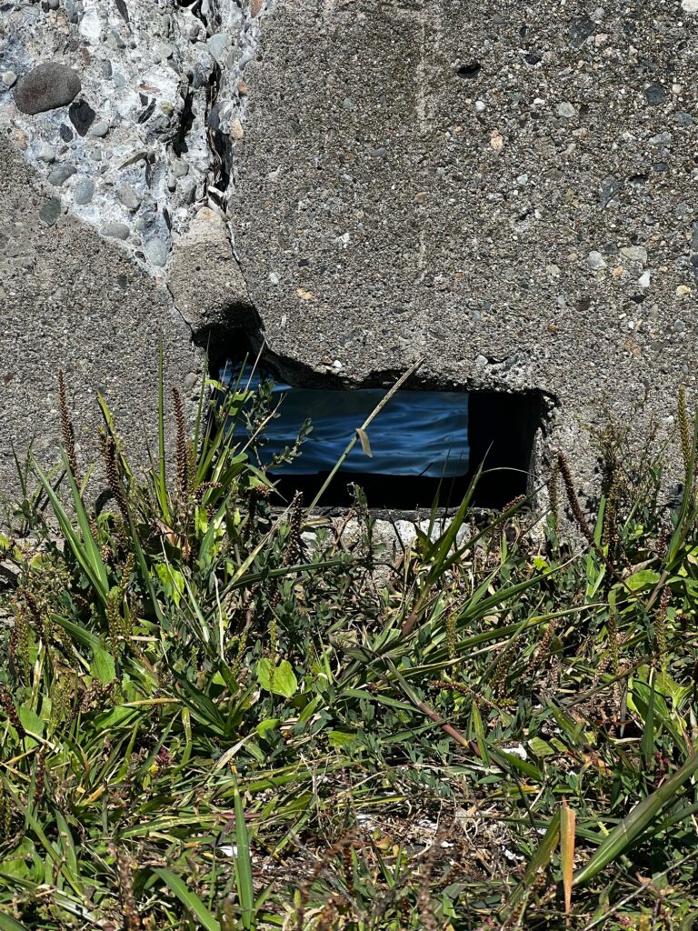a broken bench in the grass (MyCoast AI)