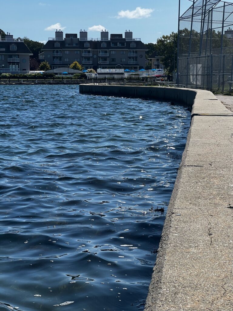a body of water with buildings along it (MyCoast AI)