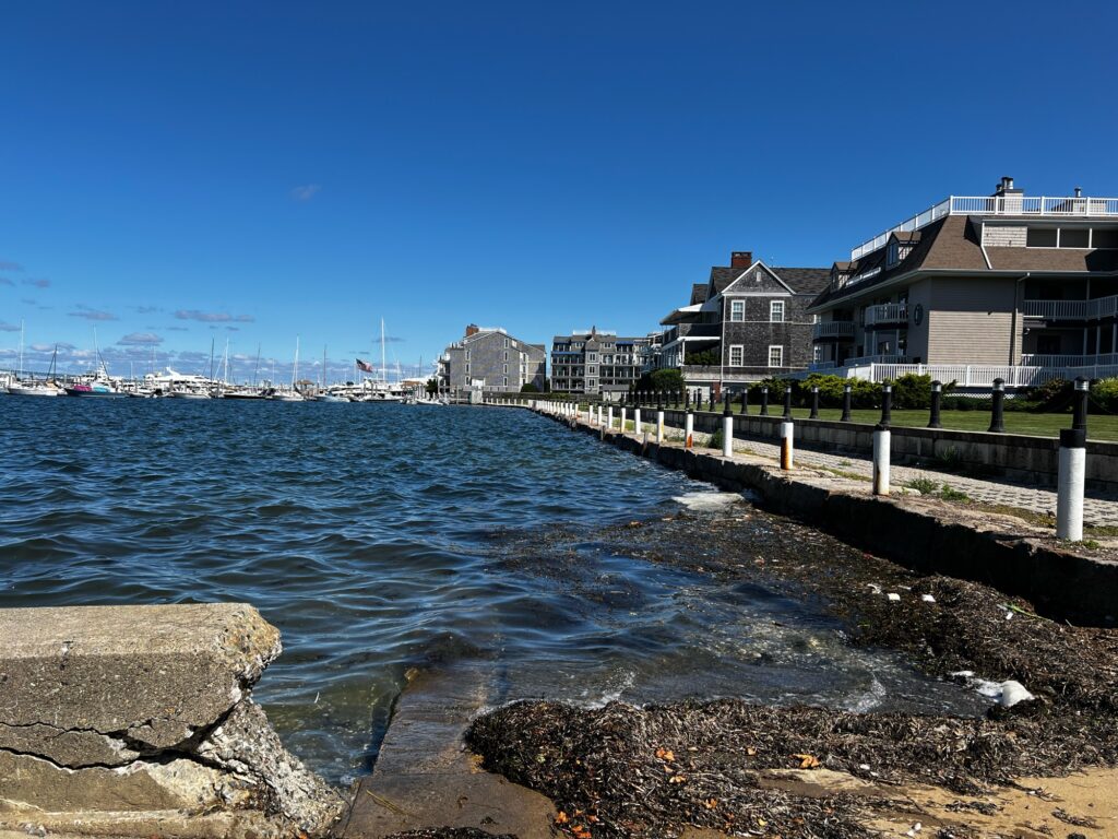 a body of water with buildings along it (MyCoast AI)