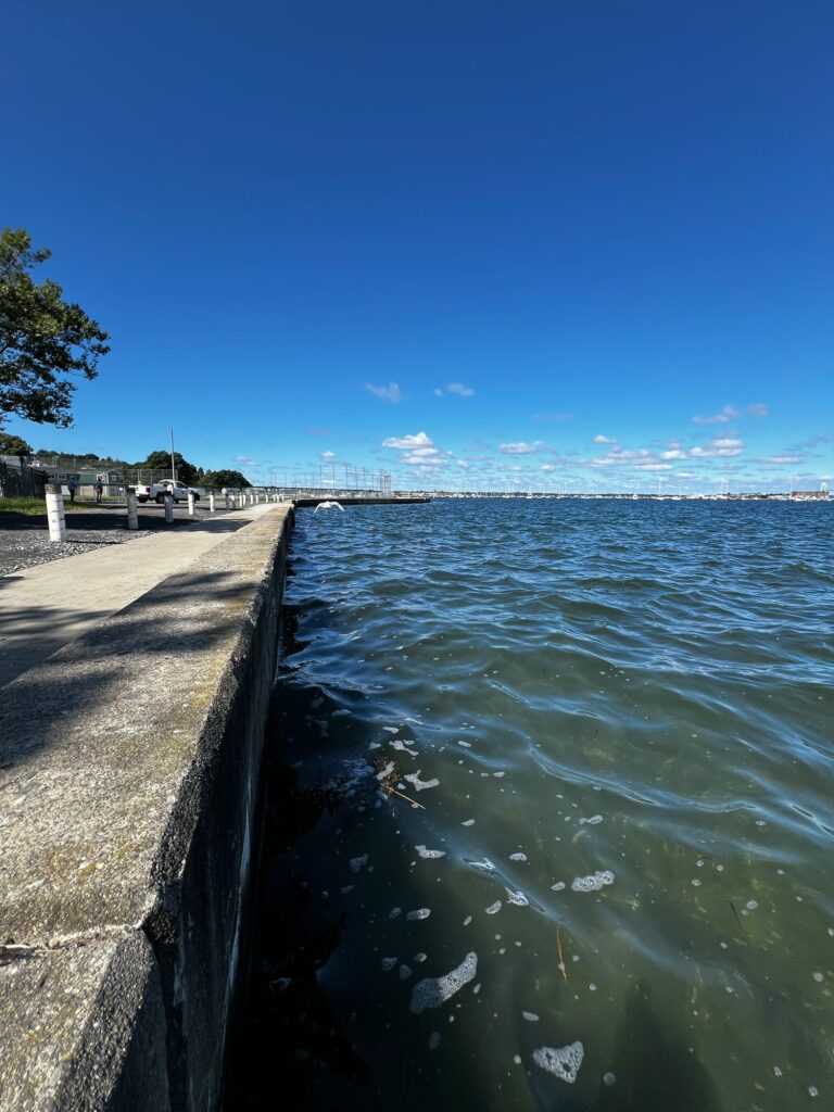 a body of water with a sidewalk and a sidewalk (MyCoast AI)