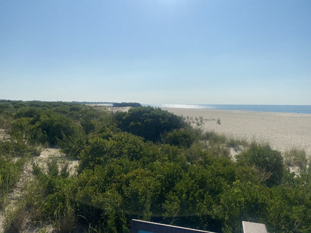 a landscape with trees and a body of water in the background (MyCoast AI)