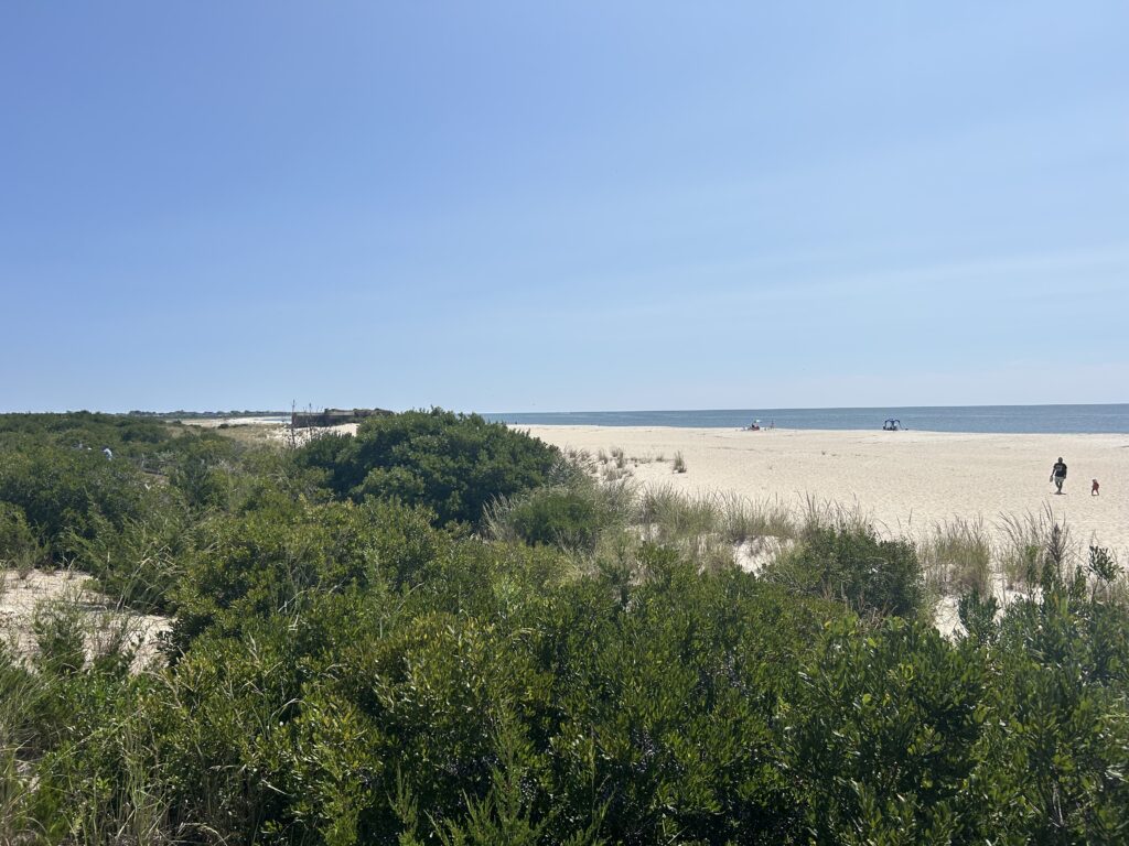 a group of people walking on a beach (MyCoast AI)