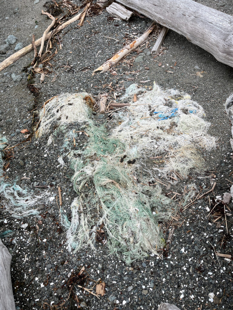 a pile of moss and sticks (MyCoast AI)