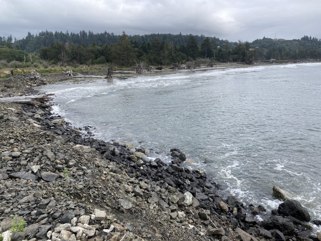 a rocky shore with a body of water and trees in the background (MyCoast AI)