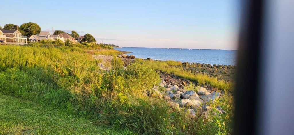 a grassy area next to a body of water (MyCoast AI)