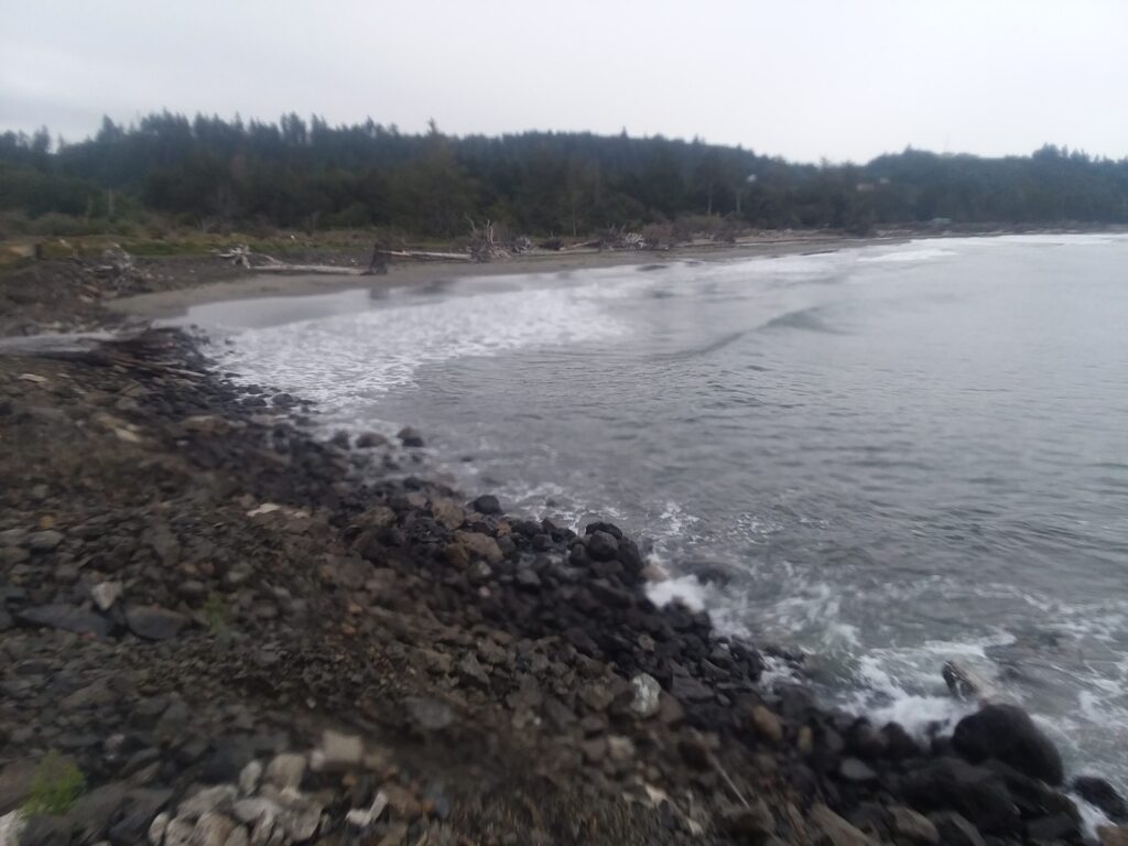 a rocky beach with a body of water and trees in the background (MyCoast AI)