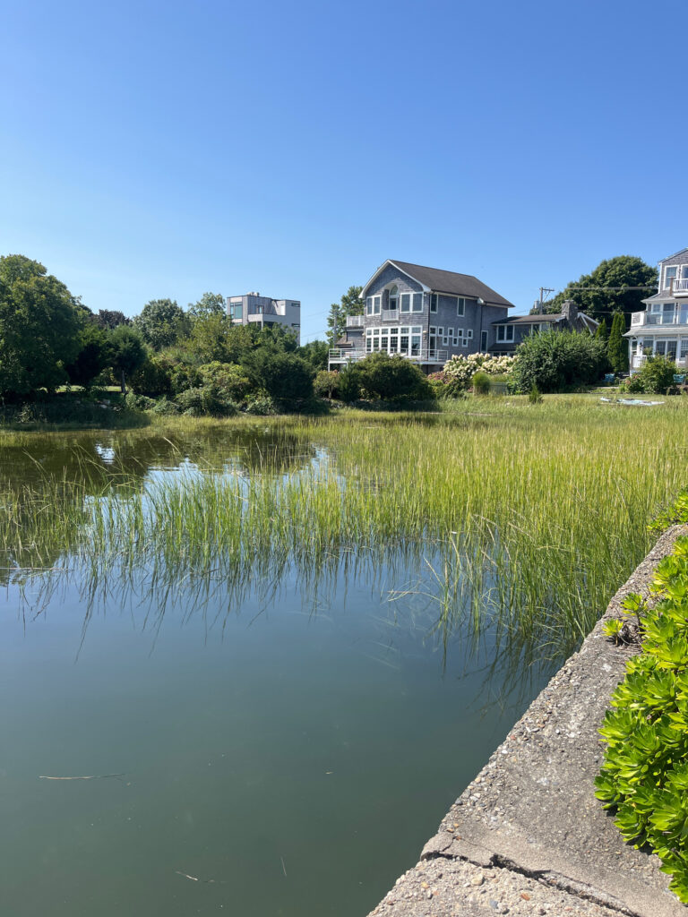 a body of water with buildings and trees around it (MyCoast AI)