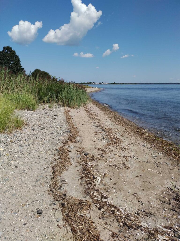 a sandy beach with grass and water (MyCoast AI)