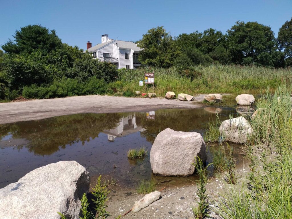a pond with rocks and grass (MyCoast AI)
