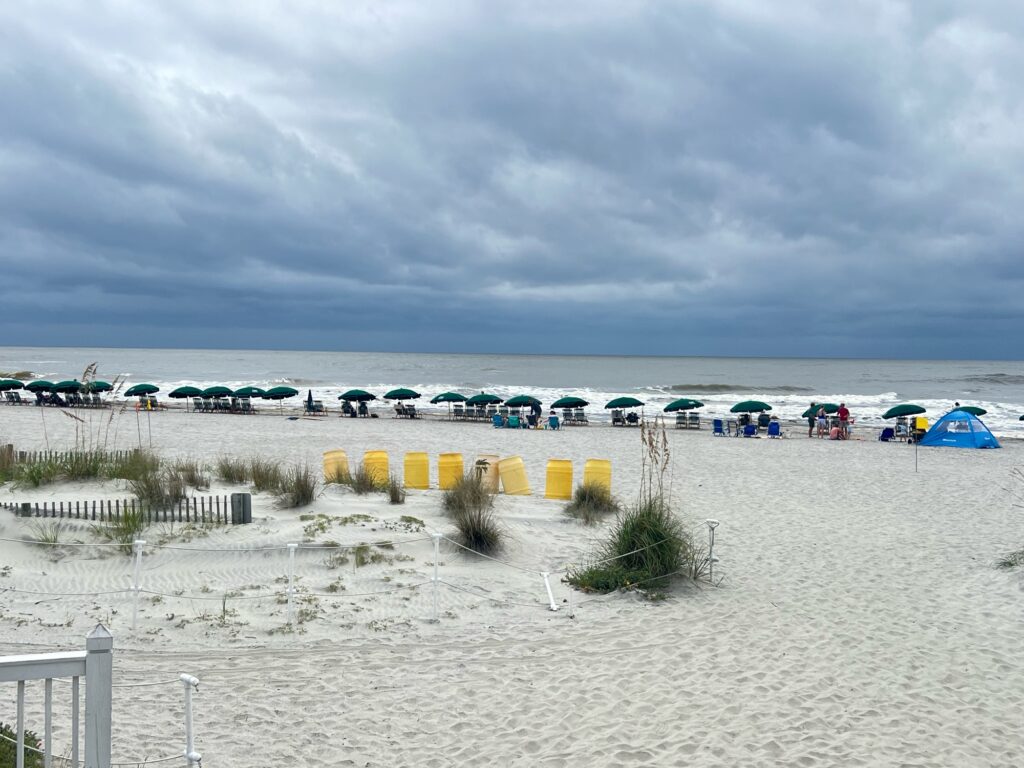 a beach with cars parked on it (MyCoast AI)