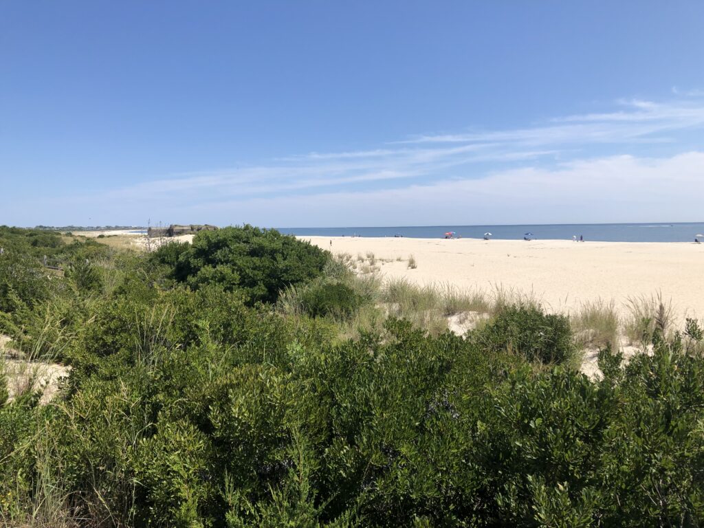 a landscape with trees and bushes (MyCoast AI)