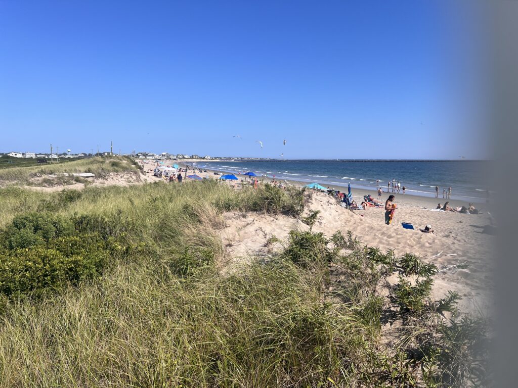 a beach with people on it (MyCoast AI)