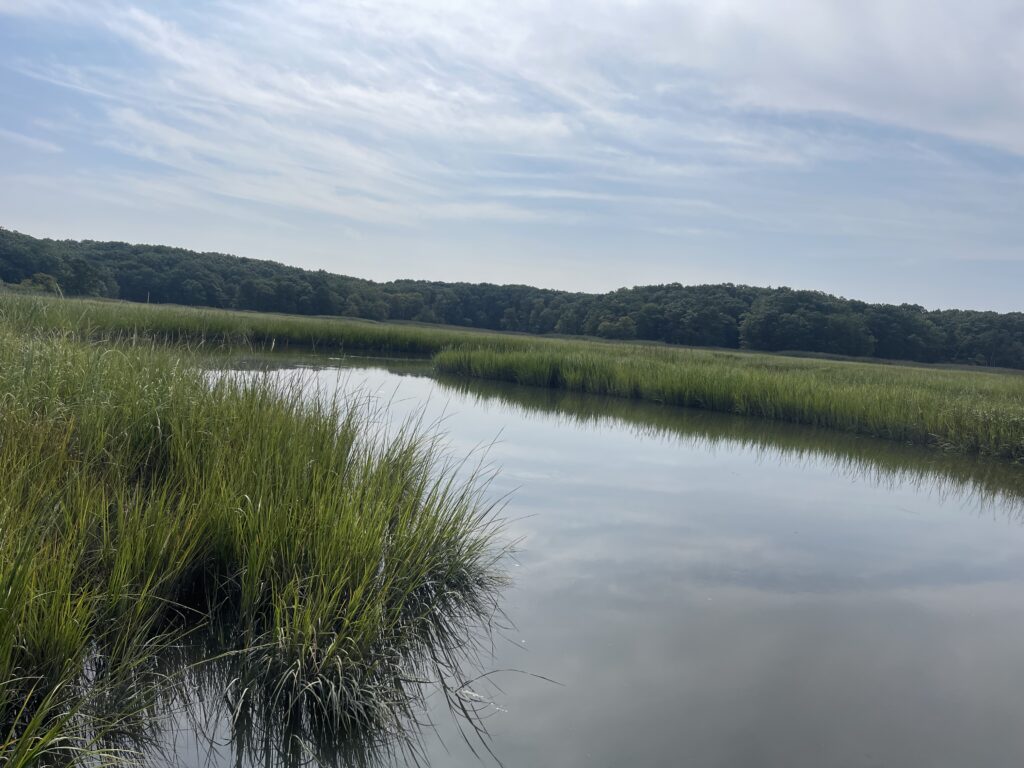 a body of water with grass and trees around it (MyCoast AI)