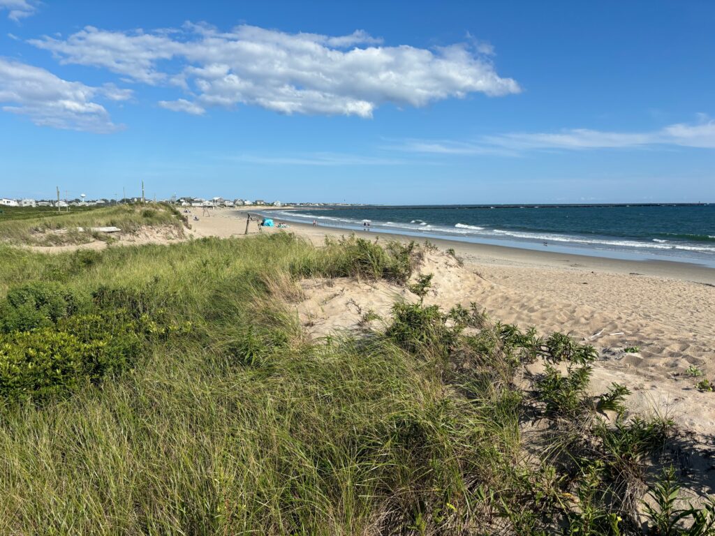a beach with grass and sand (MyCoast AI)