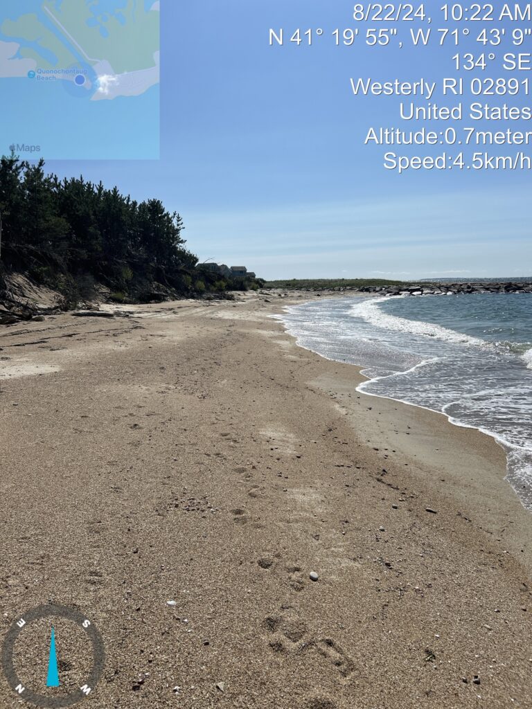 a sandy beach with trees and blue sky (MyCoast AI)