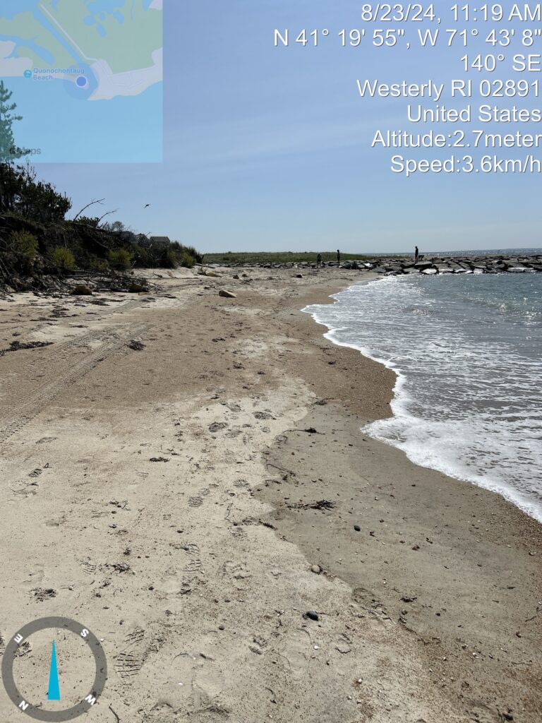 a sandy beach with a body of water and trees (MyCoast AI)