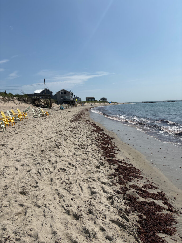 a beach with chairs and umbrellas (MyCoast AI)