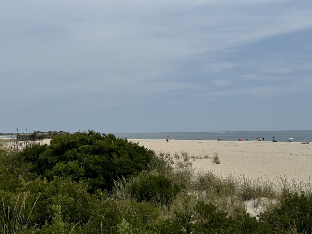 a beach with people on it (MyCoast AI)