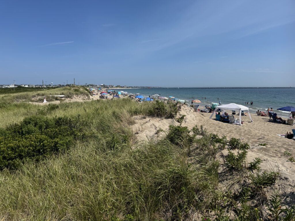 a beach with people and umbrellas (MyCoast AI)