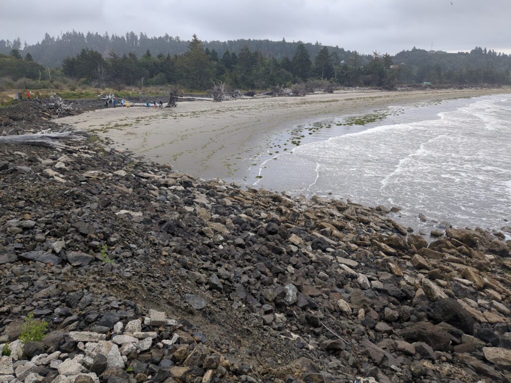 a rocky beach with a body of water and trees in the background (MyCoast AI)