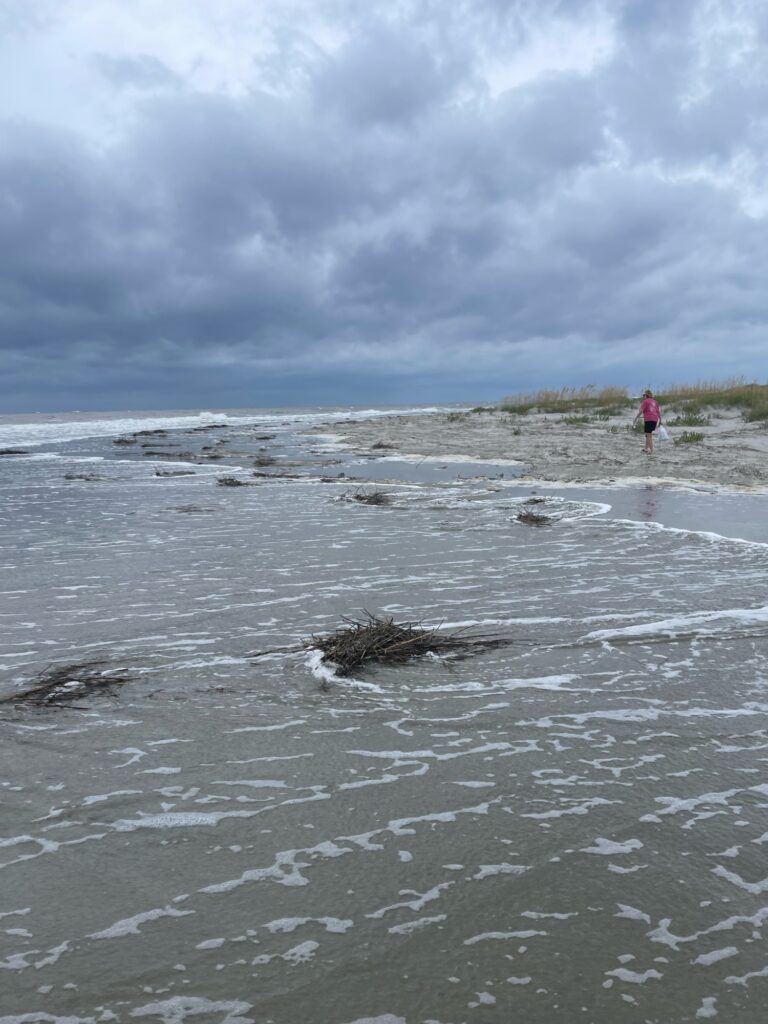 a person standing in the water (MyCoast AI)