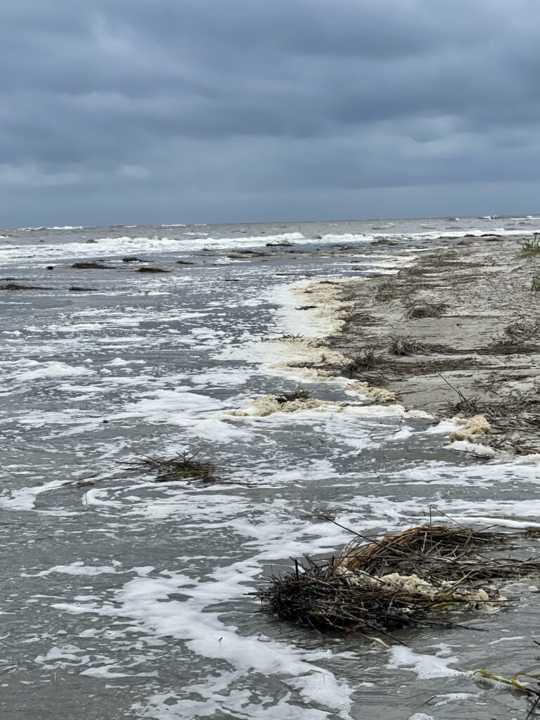 a rocky beach with waves crashing (MyCoast AI)