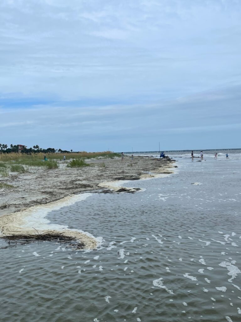 a beach with people walking on it (MyCoast AI)