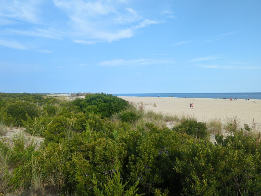 a sandy beach with bushes and trees (MyCoast AI)