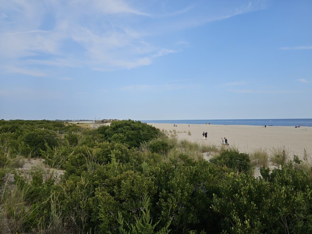 a sandy beach with bushes and trees (MyCoast AI)