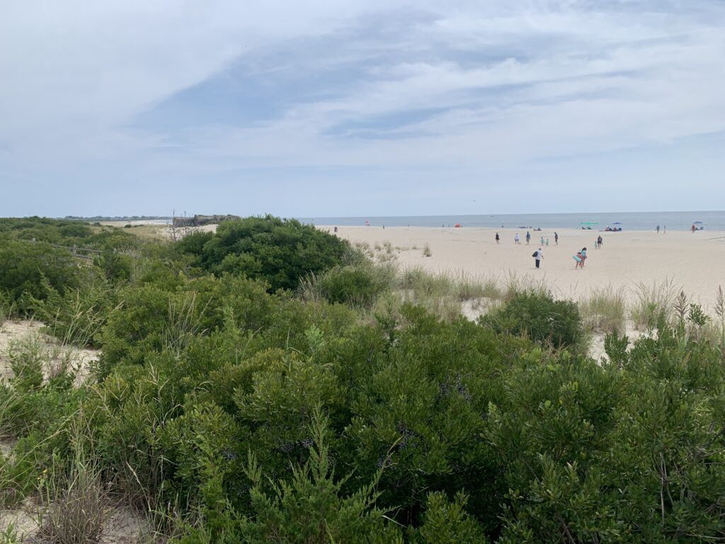 a group of people walking on a beach (MyCoast AI)