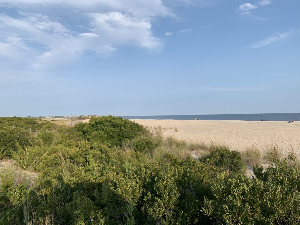 a sandy beach with bushes and trees (MyCoast AI)