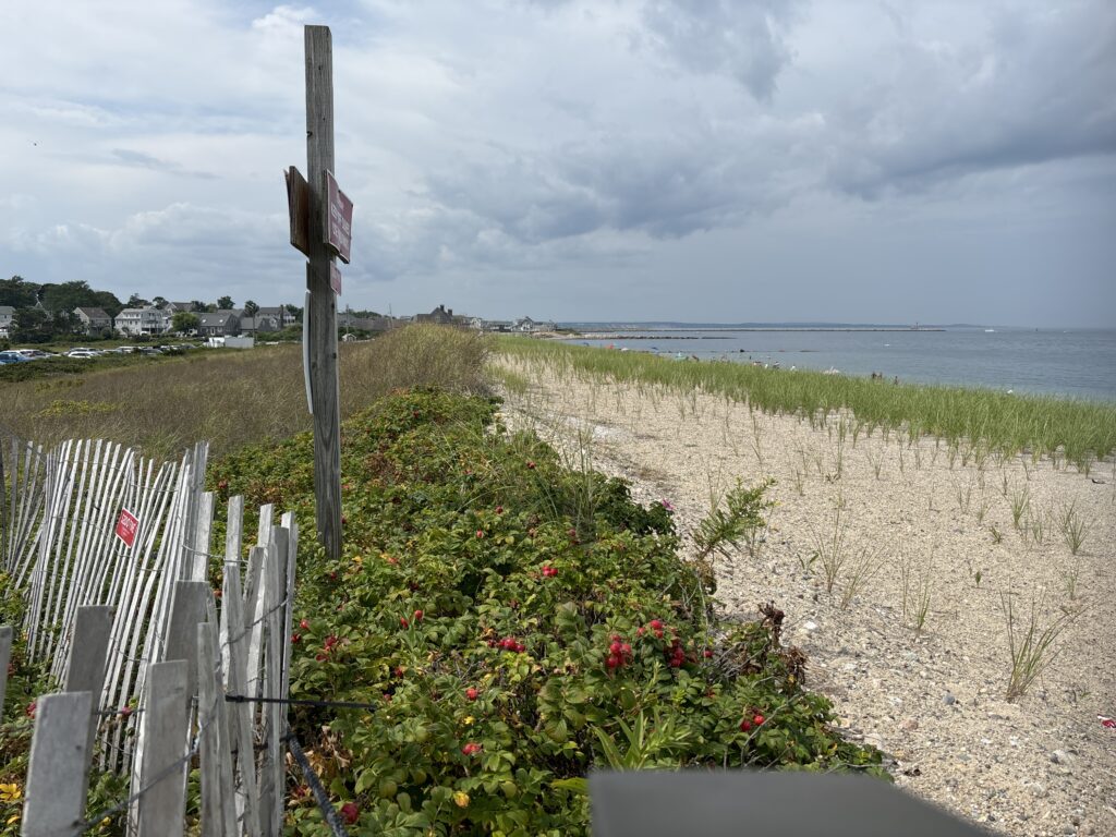 a fence and a field with flowers (MyCoast AI)