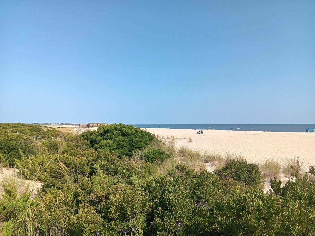 a sandy beach with bushes and trees (MyCoast AI)