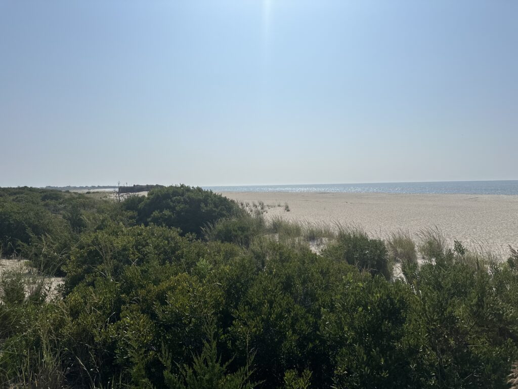 a landscape with trees and water in the background (MyCoast AI)