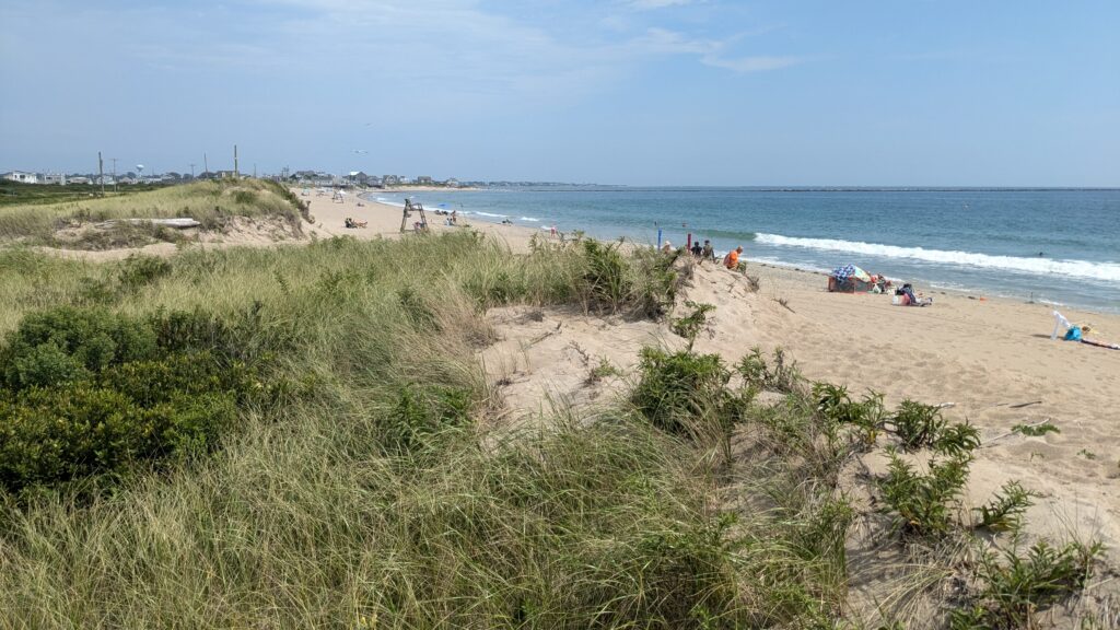 a beach with people on it (MyCoast AI)