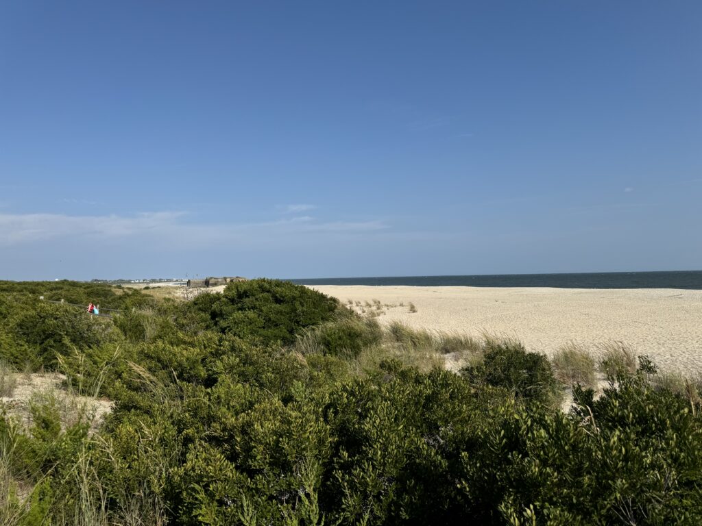 a sandy beach with bushes and trees (MyCoast AI)