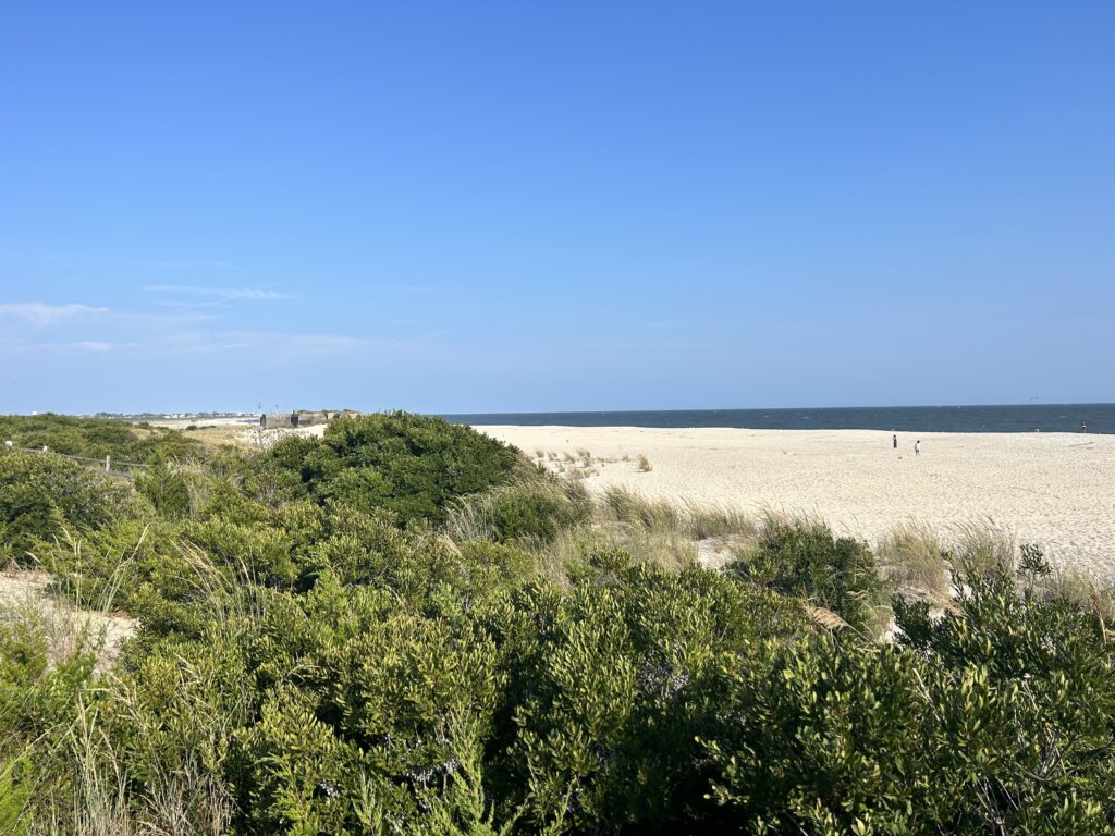a landscape with bushes and trees (MyCoast AI)