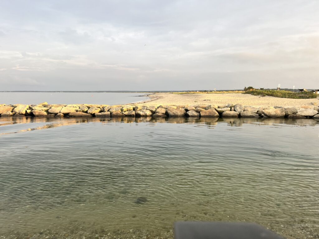 a rocky beach with a body of water in the background (MyCoast AI)