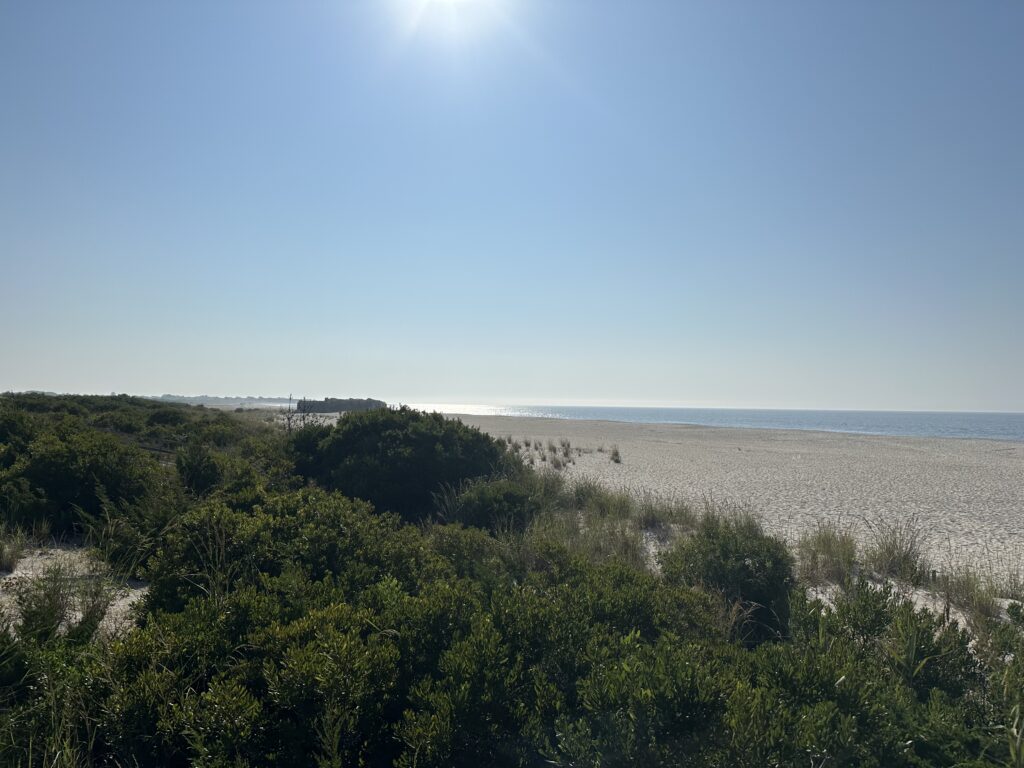 a beach with trees and bushes (MyCoast AI)