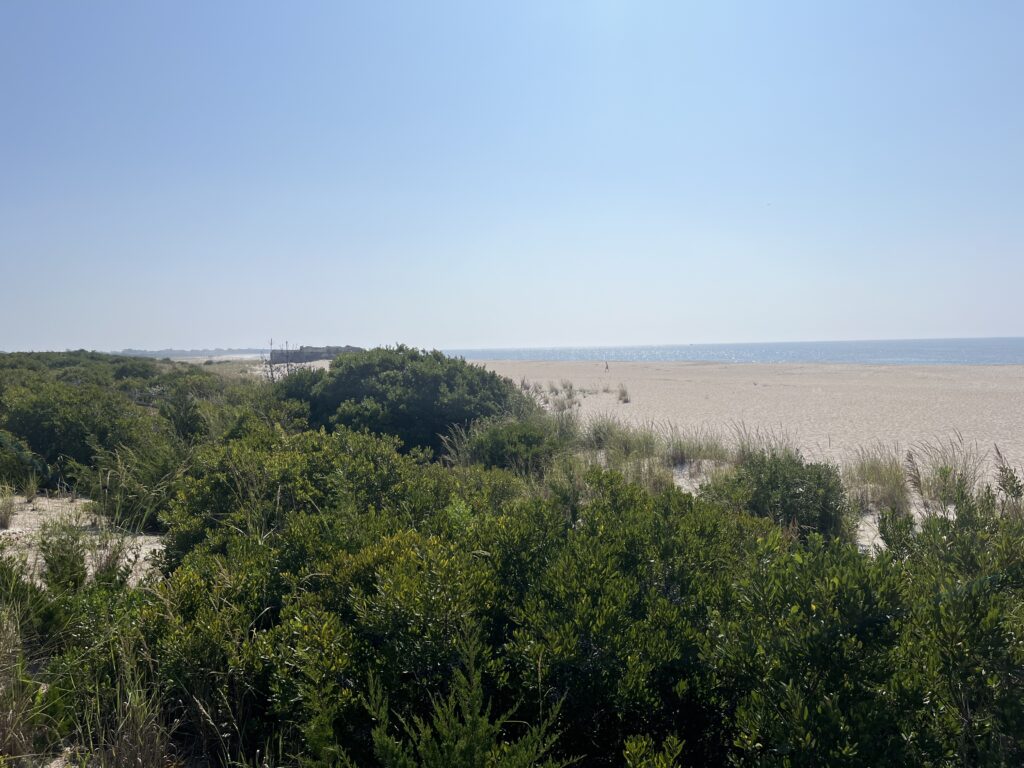 a landscape with trees and bushes (MyCoast AI)