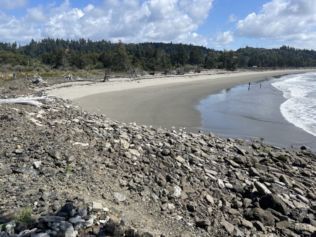 a rocky beach with a body of water and trees in the background (MyCoast AI)