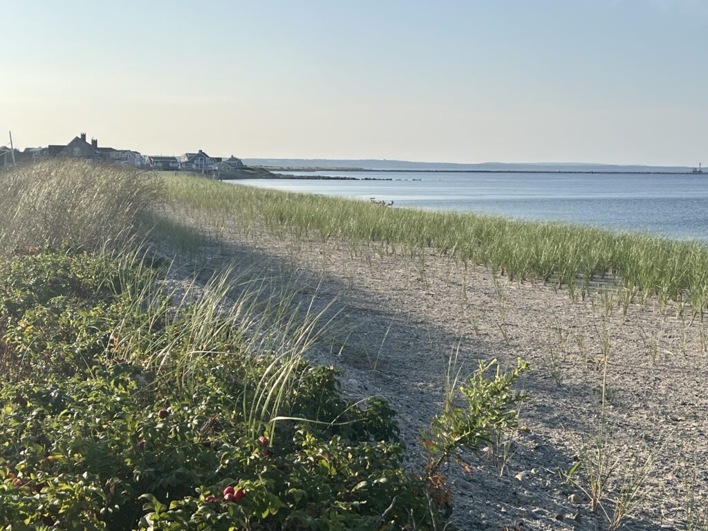 a dirt path next to a beach (MyCoast AI)