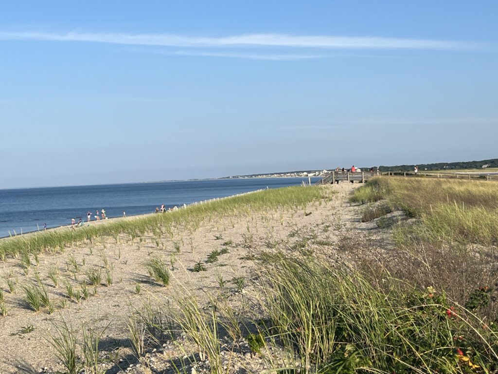 a beach with people walking on it (MyCoast AI)
