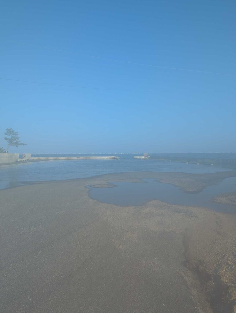 a sandy beach with a tree (MyCoast AI)