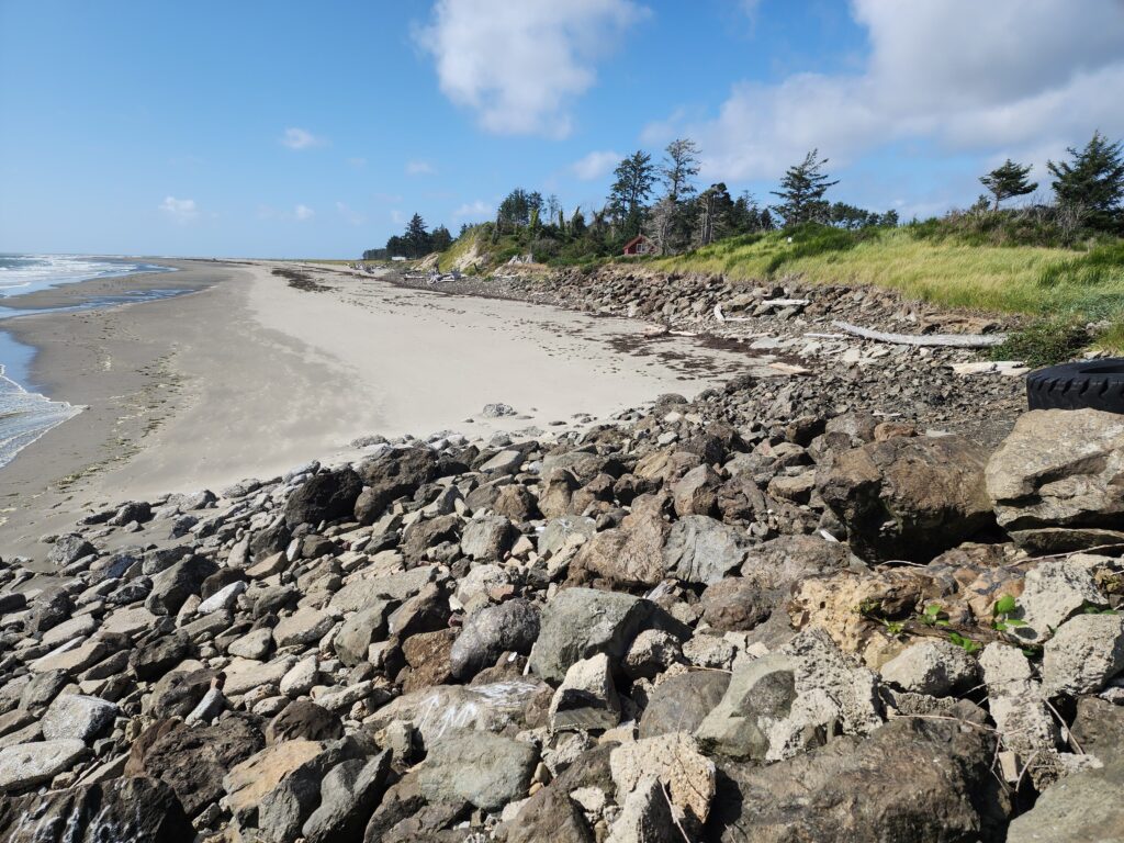 a rocky beach with trees and grass (MyCoast AI)