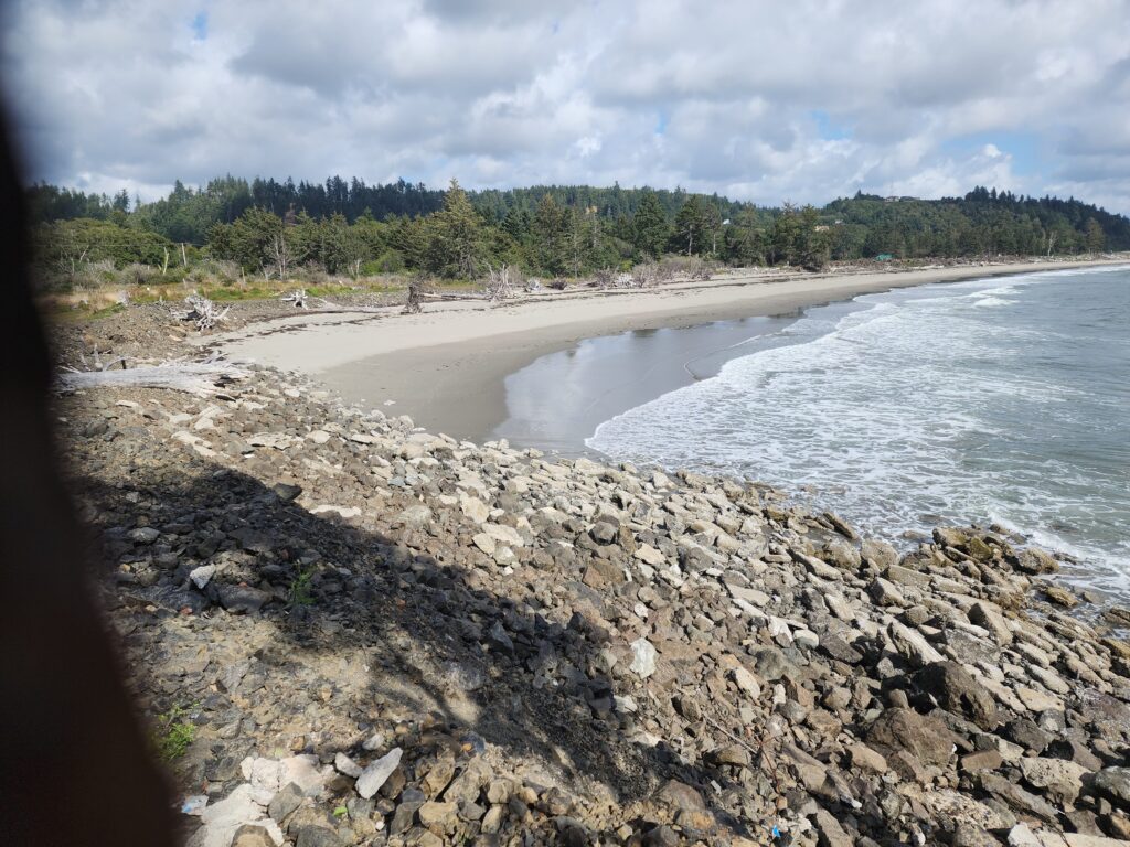 a rocky beach with a body of water and trees in the background (MyCoast AI)